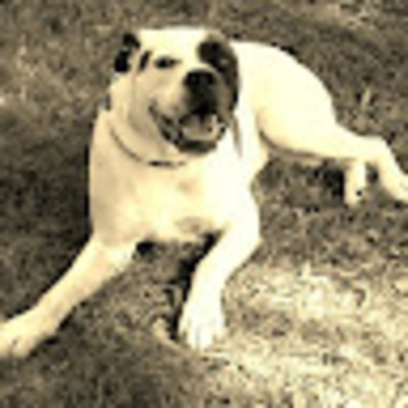 Meet your Posher, Ashley - Picture 1 of 1